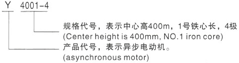 西安泰富西玛Y系列(H355-1000)高压YE2-355L-6三相异步电机型号说明