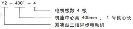 YR系列(H355-1000)高压YE2-355L-6三相异步电机西安西玛电机型号说明